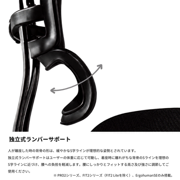 Ergohuman PRO2 Low Type Black Frame / エルゴヒューマン プロ2 ロータイプ ブラックフレーム
