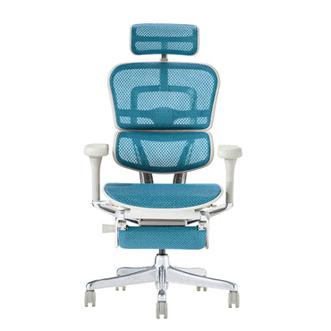 Ergohuman PRO2 Ottoman Gray Frame / エルゴヒューマン プロ2 オットマン グレーフレーム