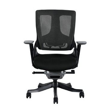 Wau Ergonomic Chair LB/ ワウ エルゴノミックチェア ローバック