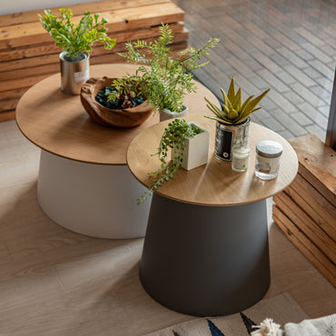 Turno Wood GY / ターノウッド グレー【S】