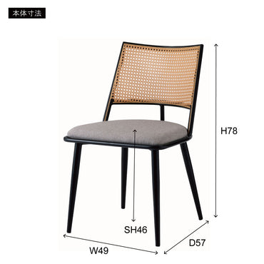 Curve Rattan Chair DGY / カーブ ラタンチェア ダークグレー