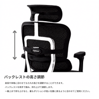 Ergohuman PRO2 Low Type Black Frame / エルゴヒューマン プロ2 ロータイプ ブラックフレーム