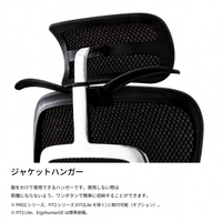 Ergohuman PRO2 Ottoman Gray Frame / エルゴヒューマン プロ2 オットマン グレーフレーム