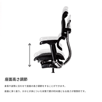 Ergohuman PRO2 Ottoman Gray Frame / エルゴヒューマン プロ2 オットマン グレーフレーム