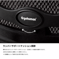 Ergohuman PRO2 Ottoman Gray Frame / エルゴヒューマン プロ2 オットマン グレーフレーム