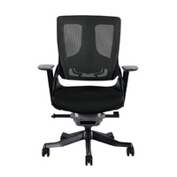 Wau Ergonomic Chair LB/ ワウ エルゴノミックチェア ローバック