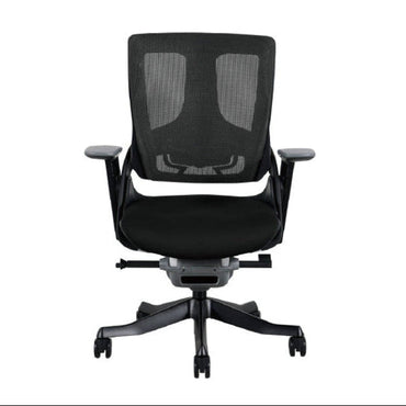 Wau Ergonomic Chair LB/ ワウ エルゴノミックチェア ローバック