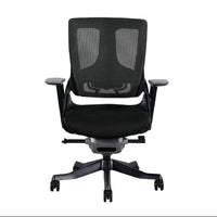 Wau Ergonomic Chair LB/ ワウ エルゴノミックチェア ローバック