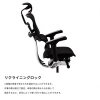 Ergohuman PRO2 Ottoman Gray Frame / エルゴヒューマン プロ2 オットマン グレーフレーム