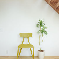 Pelt Chair MY / ペルト チェア マスタードイエロー