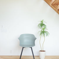 Avan Chair GGY / アヴァン チェア グリーングレー