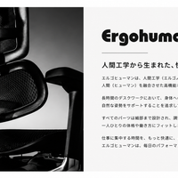 Ergohuman ENJOY2 Low Type Black Frame / エルゴヒューマン エンジョイⅡ ロータイプ ブラックフレーム