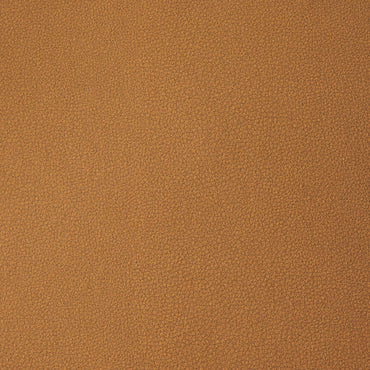 Anise Lounge Chair CA / アニス ラウンジチェア キャメル