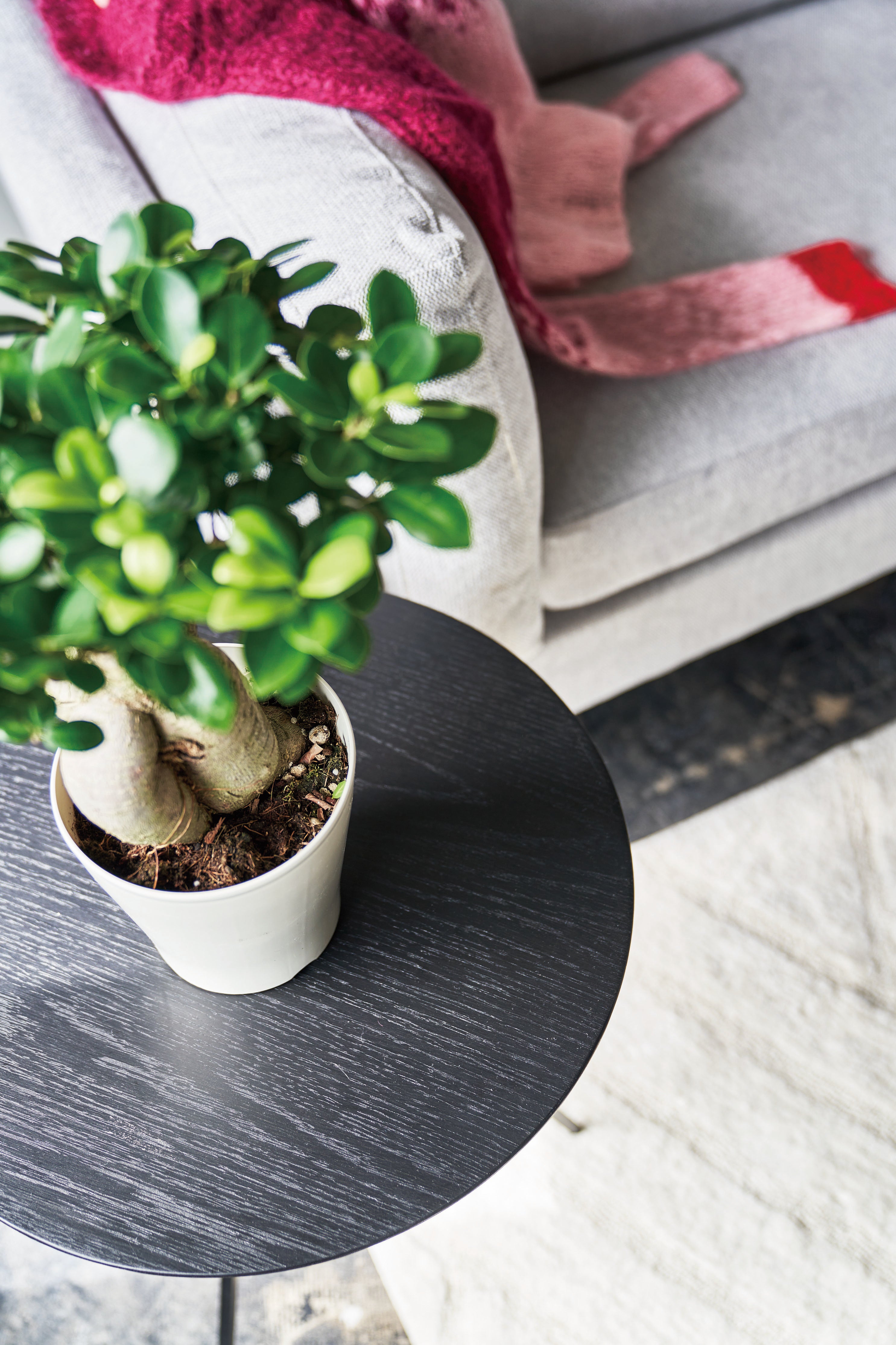Stell Side Table BK / ステル サイドテーブル ブラック