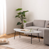 Ovalet Table / オーバレット テーブル