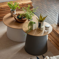 Turno Wood GY / ターノウッド グレー【S】