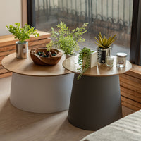 Turno Wood WH / ターノウッド ホワイト【L】