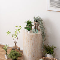 Pearla Round /パーラ ラウンド