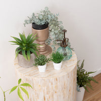 Pearla Round /パーラ ラウンド