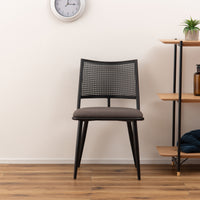 Curve Rattan Chair BK×DGY / カーブ ラタン チェア ブラック×ダークグレー