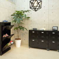 Laldo Shoes Rack BK / ラルド シューズラック ブラック